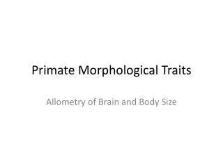 Primate Morphological Traits
