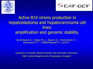 Active B19 virions production in hepatoblastoma and hepatocarcinoma cell lines: amplification and genomic stability.