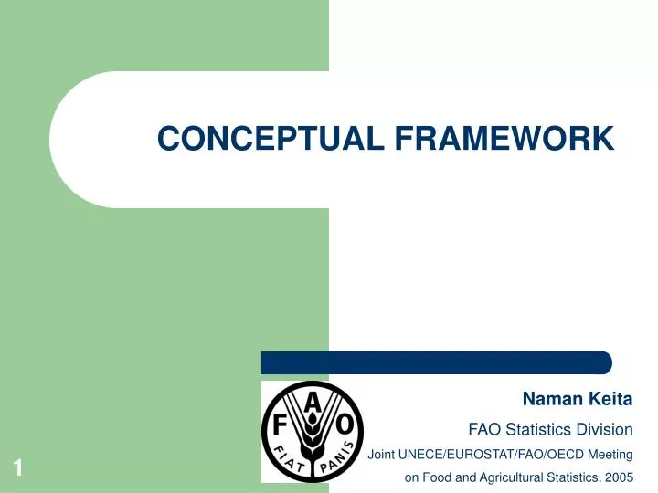 conceptual framework