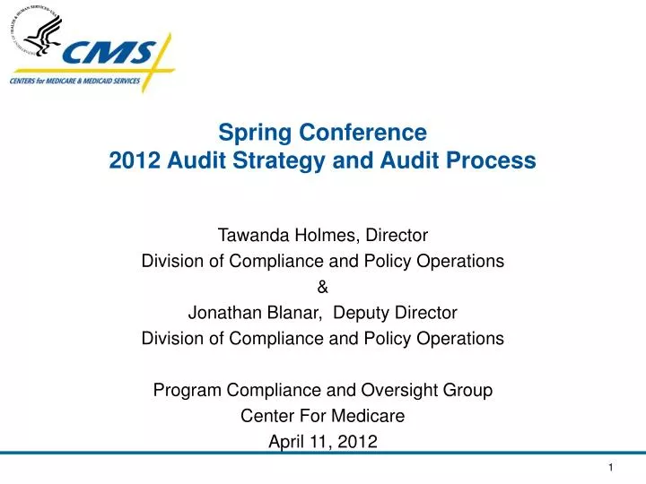 spring conference 2012 audit strategy and audit process