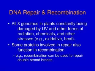 DNA Repair &amp; Recombination