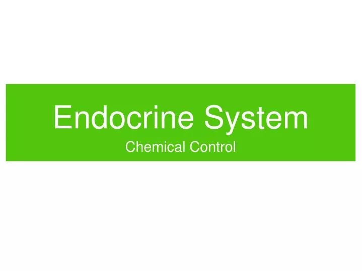 endocrine system