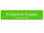 Endocrine System - slide 1