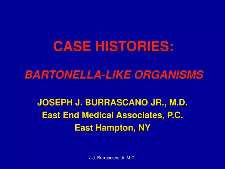 case histories bartonella like organisms