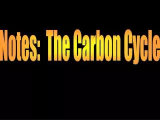 Notes: The Carbon Cycle
