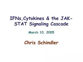 IFNs,Cytokines &amp; the JAK-STAT Signaling Cascade March 10, 2005 Chris Schindler