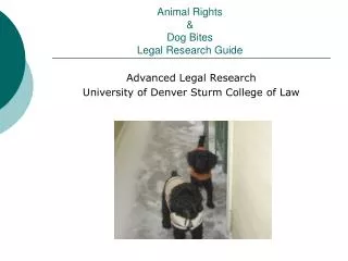 Animal Rights &amp; Dog Bites Legal Research Guide