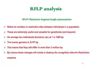 RFLP analysis