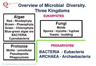 Overview of Microbial Diversity. Three Kingdoms