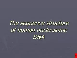 The sequence structure of human nucleosome DNA