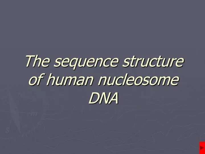 the sequence structure of human nucleosome dna