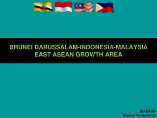 BRUNEI DARUSSALAM-INDONESIA-MALAYSIA EAST ASEAN GROWTH AREA