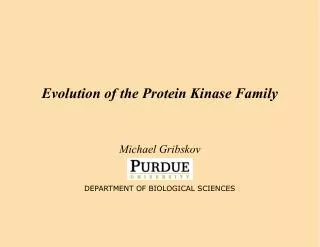 Evolution of the Protein Kinase Family