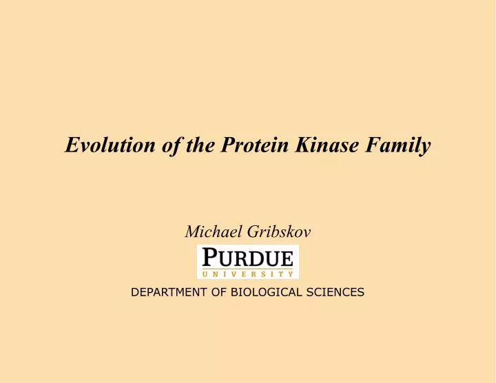 evolution of the protein kinase family