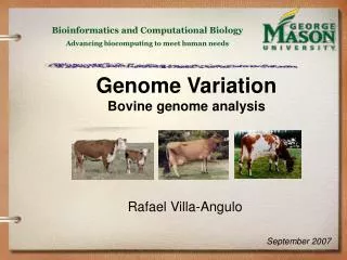 Genome Variation Bovine genome analysis