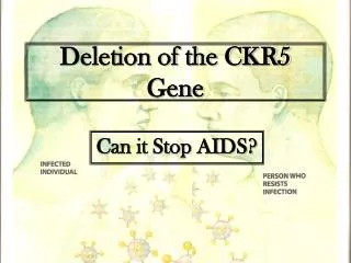 Deletion of the CKR5 Gene