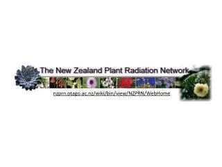 Species delimitation in recent New Zealand species radiations
