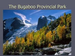 The Bugaboo Provincial Park