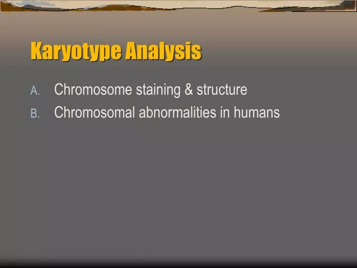 karyotype analysis