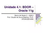 Unidade 4.1: BDOR – Oracle 11g - slide 1