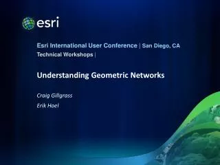 Understanding Geometric Networks