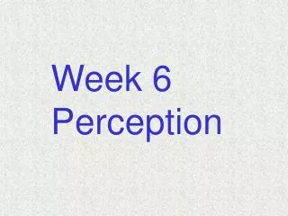 Week 6 Perception