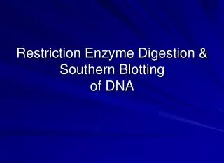 Restriction Enzyme Digestion &amp; Southern Blotting of DNA