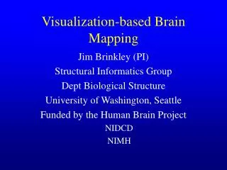 Visualization-based Brain Mapping