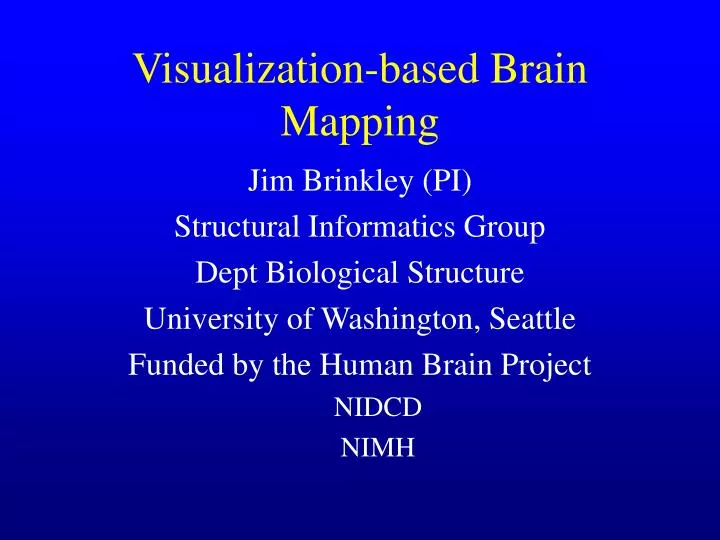 visualization based brain mapping