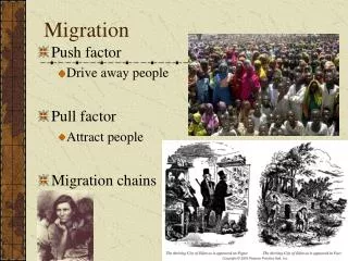 Migration