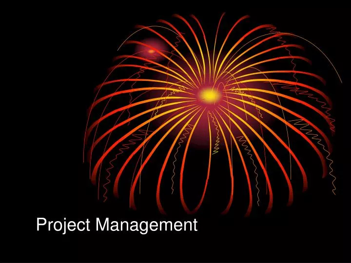 project management