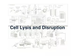 Cell Lysis and Disruption