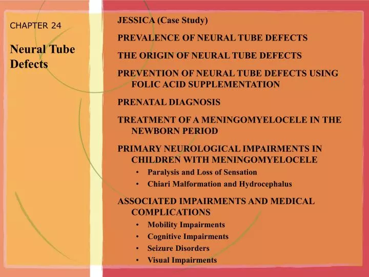 chapter 24 neural tube defects