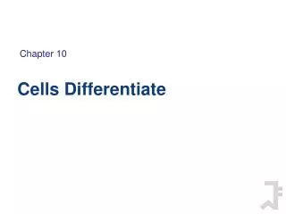 Cells Differentiate