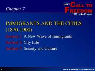 IMMIGRANTS AND THE CITIES (1870-1900)