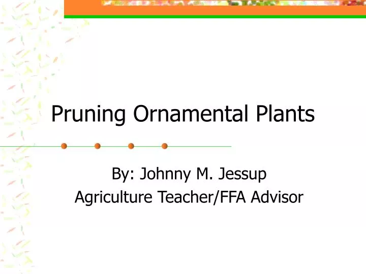 pruning ornamental plants