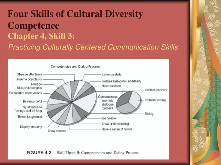 four skills of cultural diversity competence