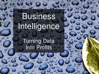 Business Intelligence Turning Data Into Profits