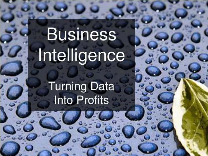 business intelligence turning data into profits