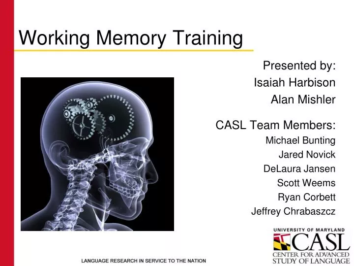 working memory training