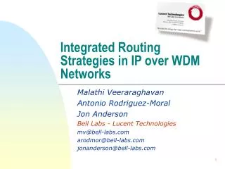 Integrated Routing Strategies in IP over WDM Networks