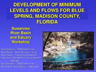 DEVELOPMENT OF MINIMUM LEVELS AND FLOWS FOR BLUE SPRING, MADISON COUNTY, FLORIDA