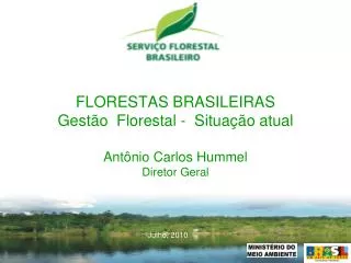 FLORESTAS BRASILEIRAS Gestão Florestal - Situação atual Antônio Carlos Hummel Diretor Geral