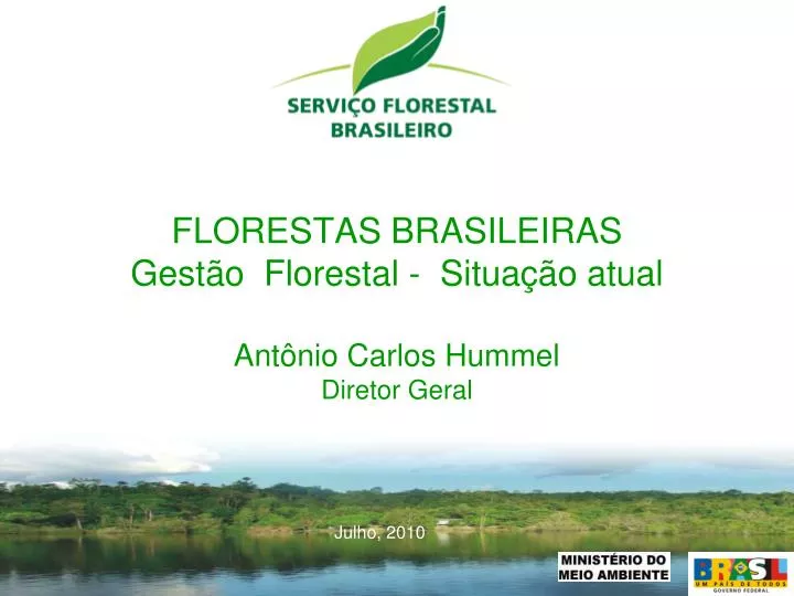 florestas brasileiras gest o florestal situa o atual ant nio carlos hummel diretor geral