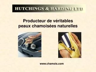 Producteur de véritables peaux chamoisées naturelles