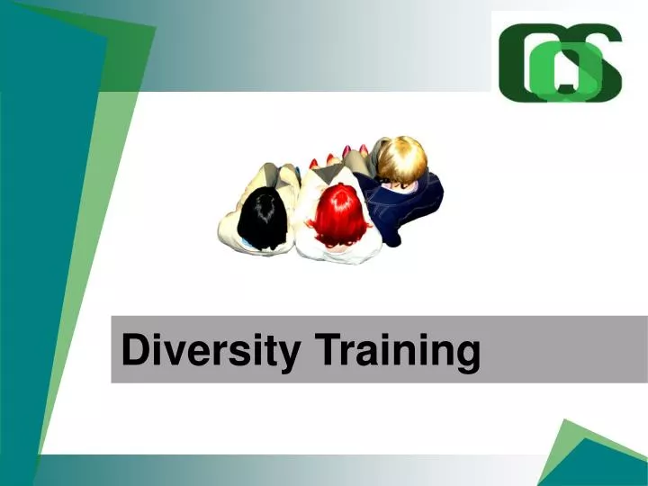 diversity training