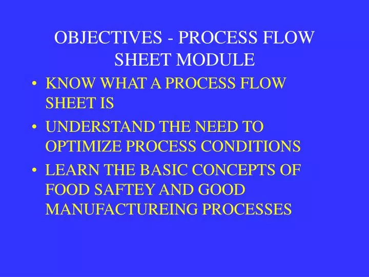 objectives process flow sheet module