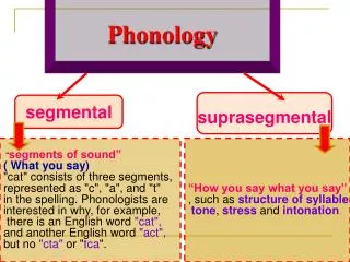 Phonology