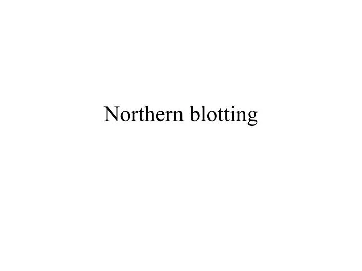northern blotting