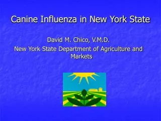 Canine Influenza in New York State
